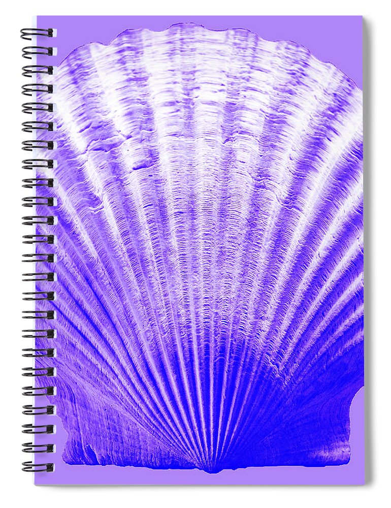 Sea Spiral Notebook featuring the photograph Sea Shell-purple by WAZgriffin Digital