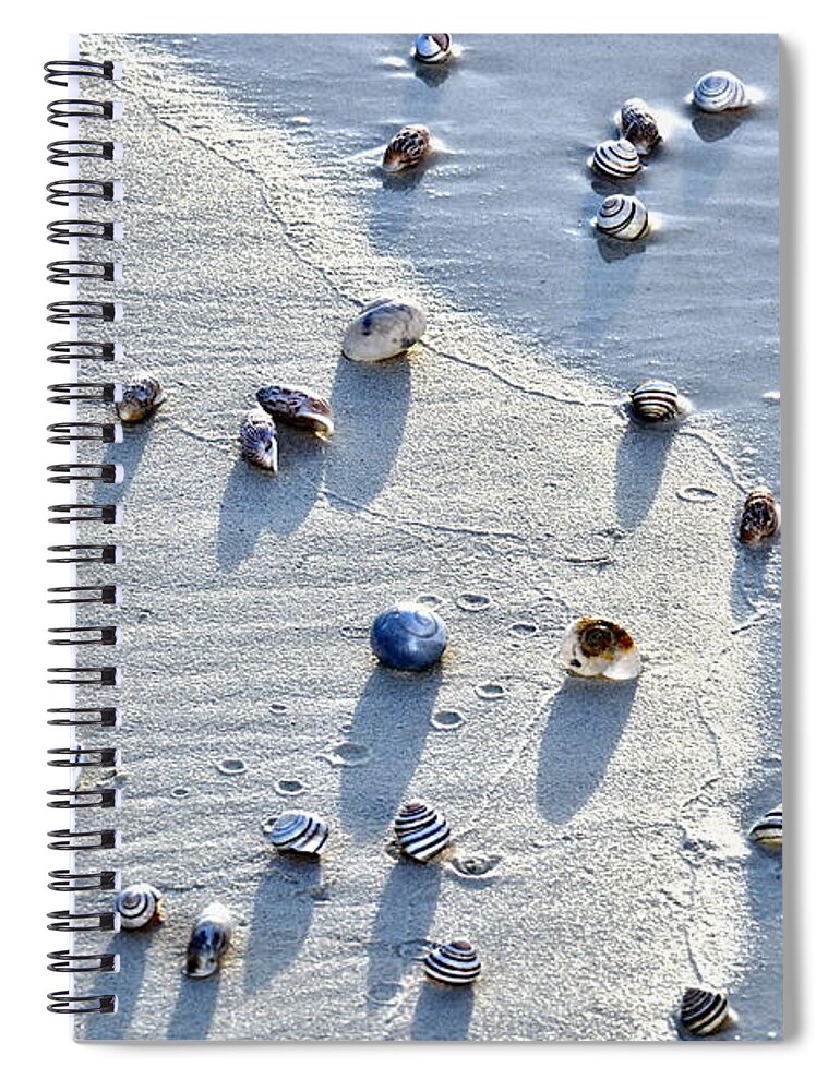 Shells Spiral Notebook featuring the photograph Sea Shells at the Shore by Amy McDaniel
