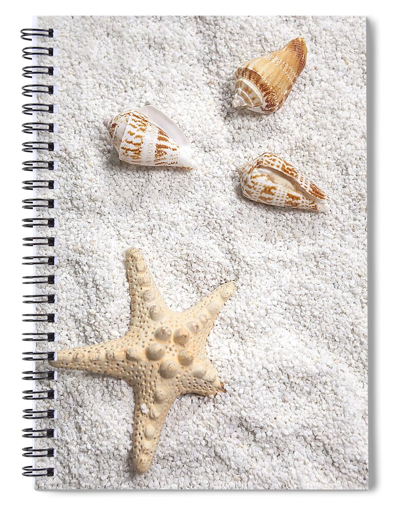 Shell Spiral Notebook featuring the photograph Sea Shells by Joana Kruse