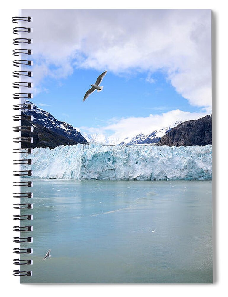 Seabirds Spiral Notebook featuring the photograph Seabirds above Margerie by Veronica Batterson