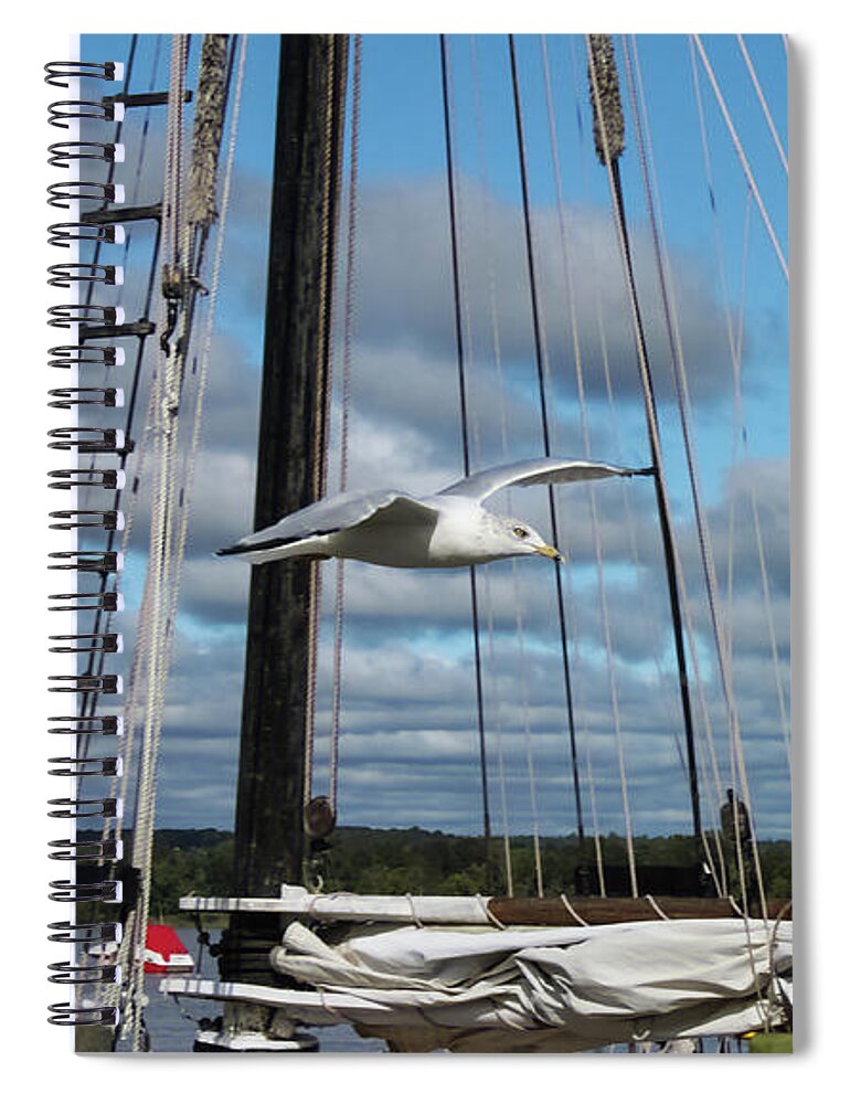 Sailboat Spiral Notebook featuring the photograph Seagull flying past rigging and ropes of sailing vessel on stomy day with shore and cloudy sky in ba by Susan Vineyard