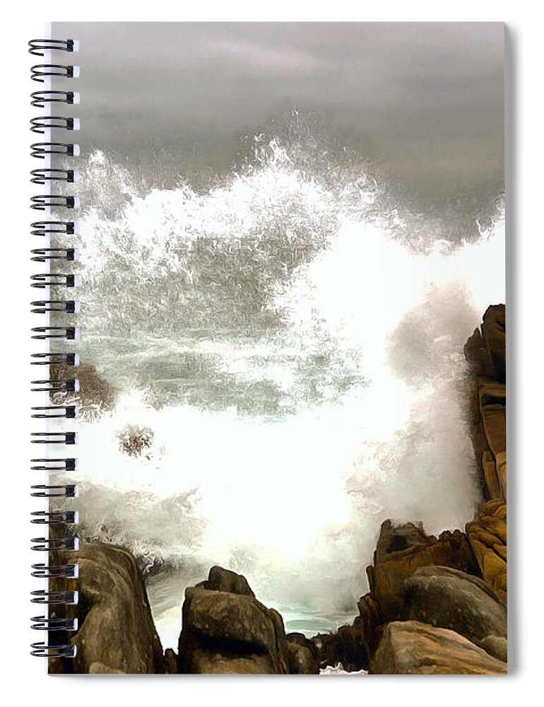 Barbara Snyder Spiral Notebook featuring the photograph Seagull Get A Shower on 17 Mile Drive Painting by Barbara Snyder