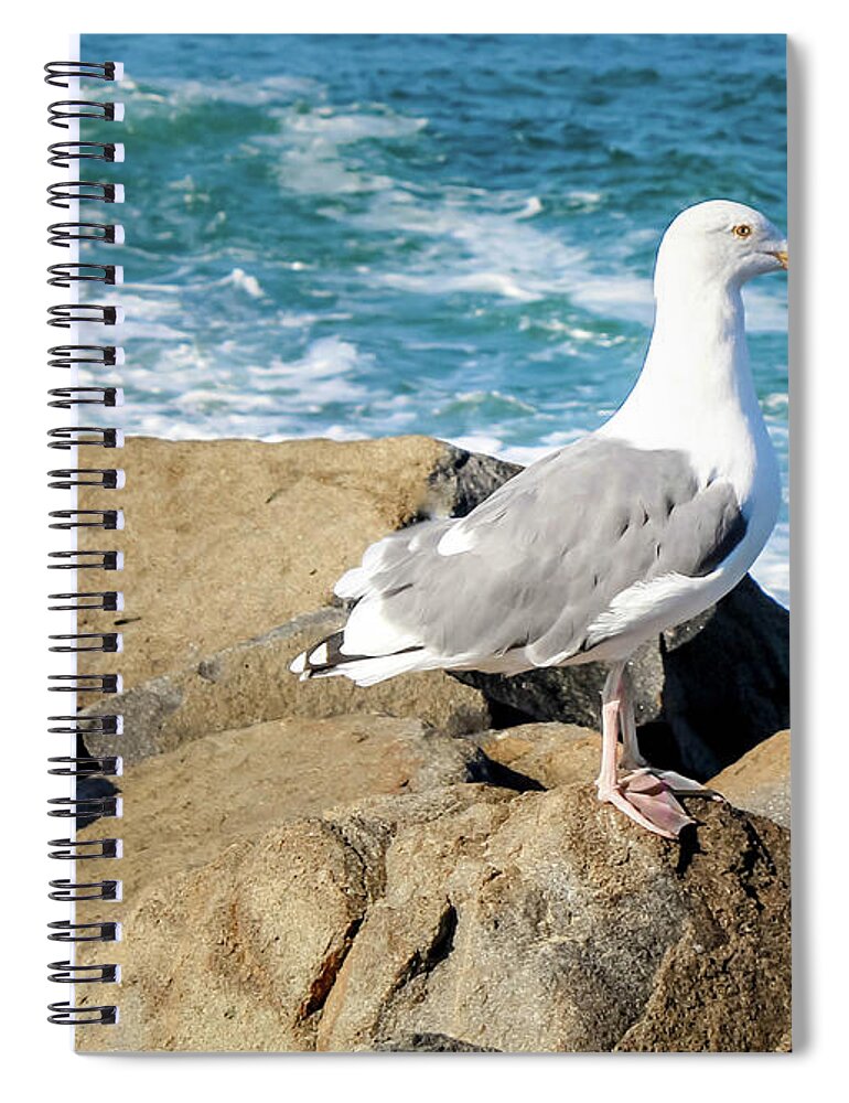 Seagull Spiral Notebook featuring the photograph Seagull on Jetty by Alison Frank