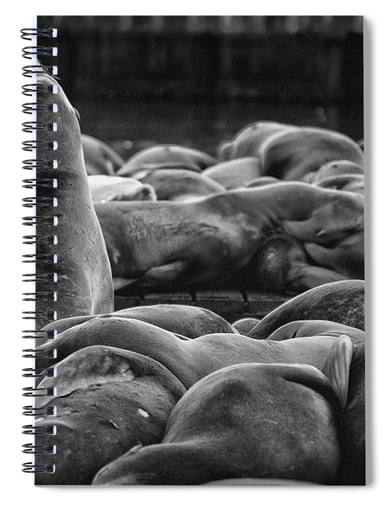 Sea Spiral Notebook featuring the photograph Sealed Up by Scott Wyatt