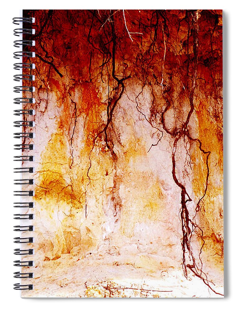 Landscape Spiral Notebook featuring the photograph Searching by Holly Kempe