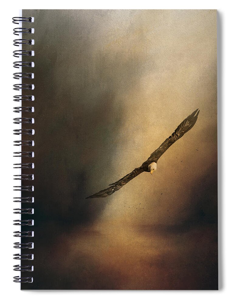 Jai Johnson Spiral Notebook featuring the photograph Searching with Bald Eagle by Jai Johnson