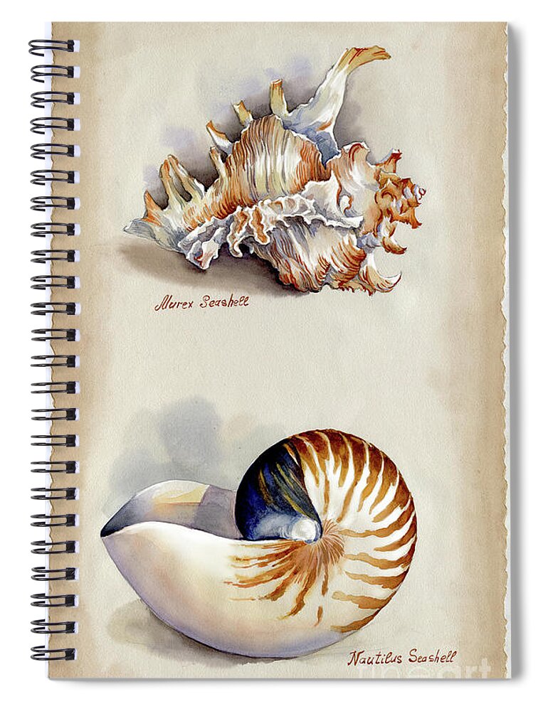 Seashells Spiral Notebook featuring the photograph Seashells Murex and Nautilus by Maria Rabinky