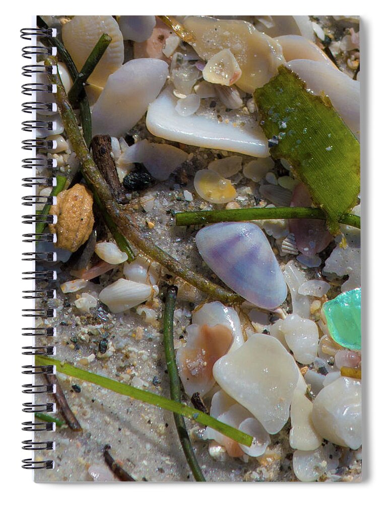 Susan Molnar Spiral Notebook featuring the photograph Seaside Treasures 2 by Susan Molnar