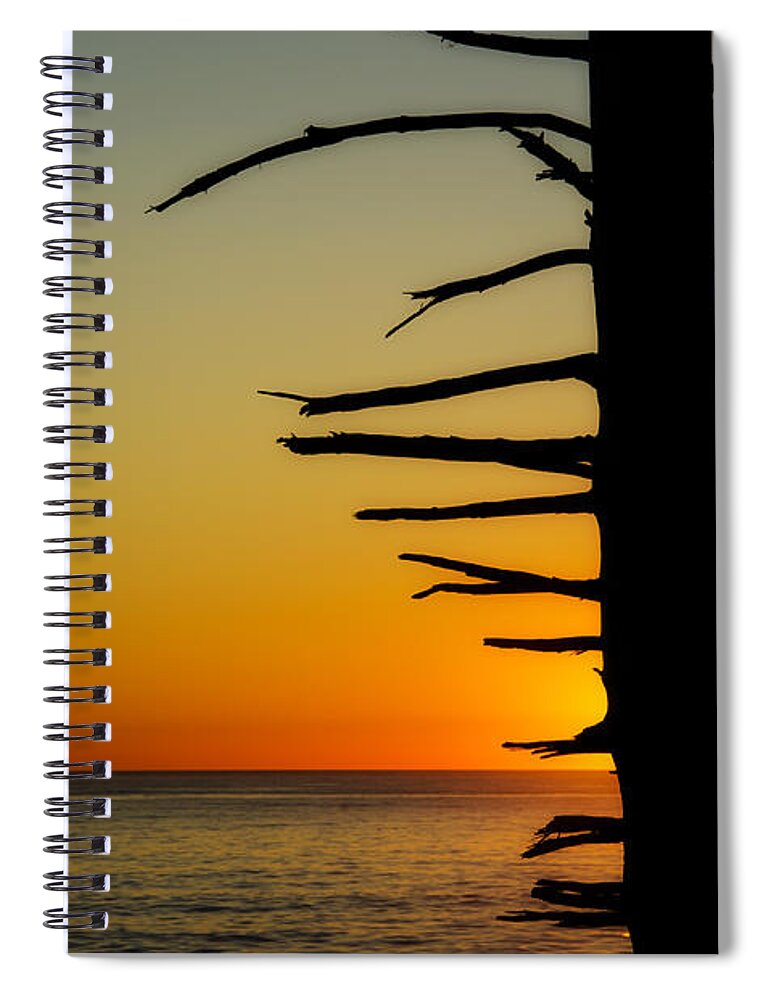 Branch Spiral Notebook featuring the photograph Seaside Tree Branch Sunset 2 by Pelo Blanco Photo