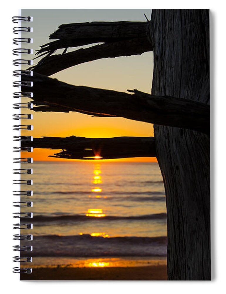 Branch Spiral Notebook featuring the photograph Seaside Tree Branch Sunset by Pelo Blanco Photo