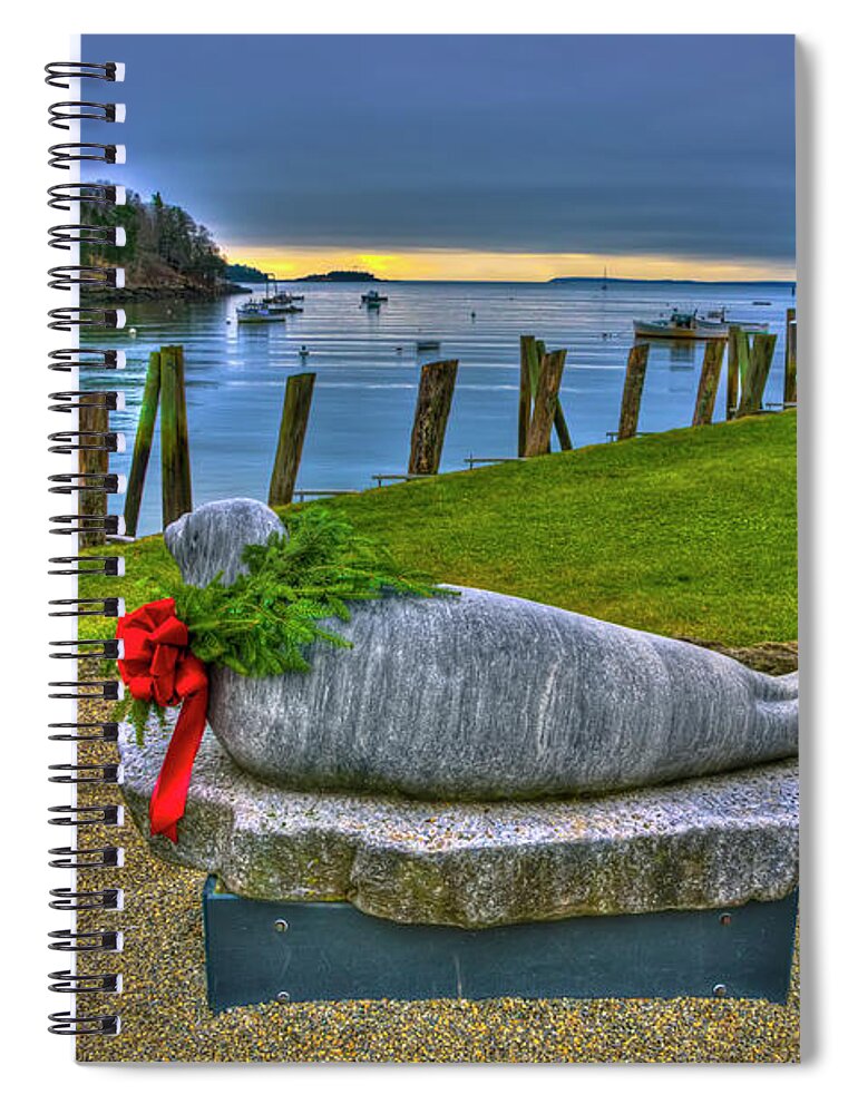 Andre The Seal Spiral Notebook featuring the photograph Seasonal Andre by Jeff Cooper