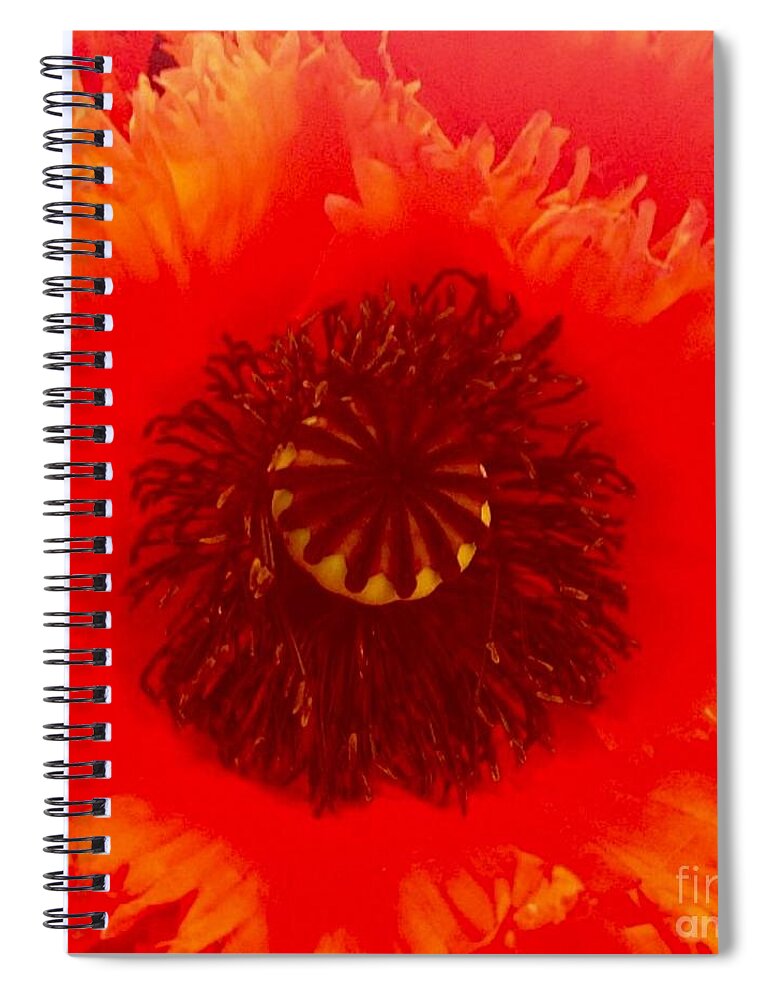 Flower Spiral Notebook featuring the photograph Seattle by Denise Railey