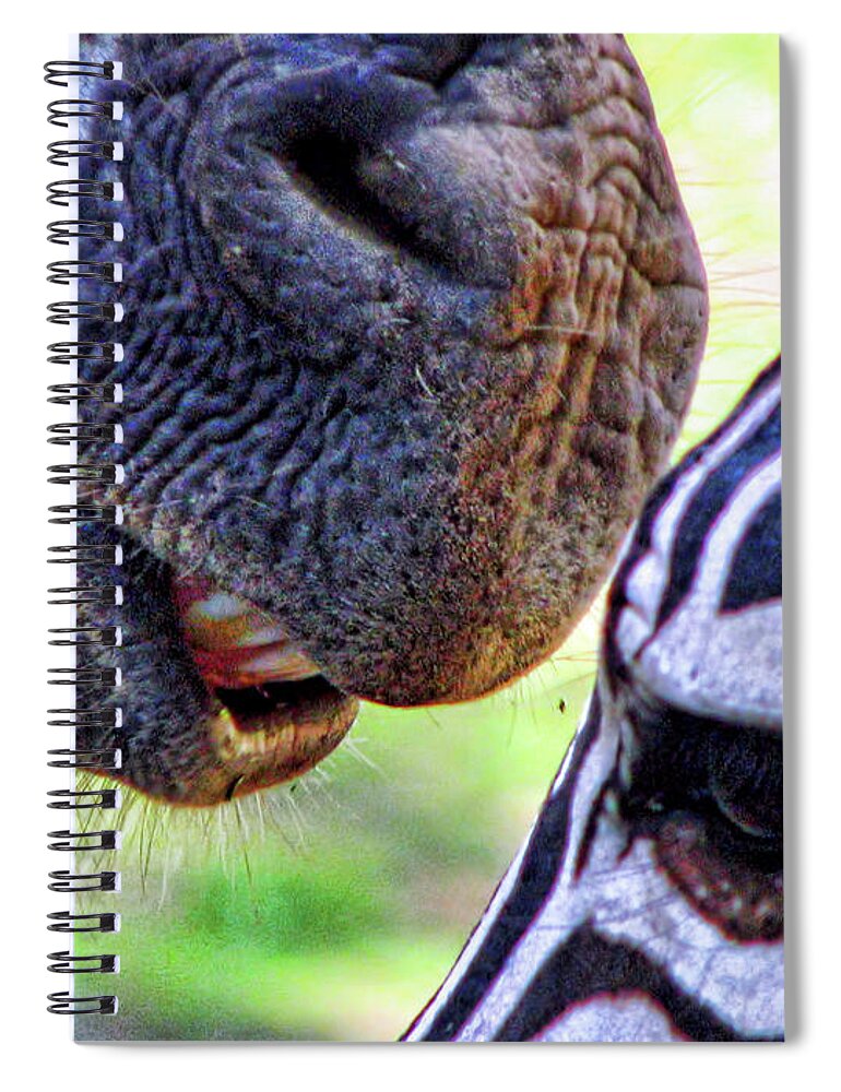 Zebra Spiral Notebook featuring the photograph Secrets by Traci Cottingham