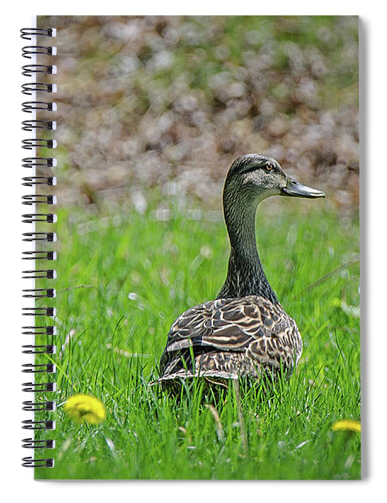 See And Be Seen Spiral Notebook featuring the photograph See And Be Seen by Susan McMenamin