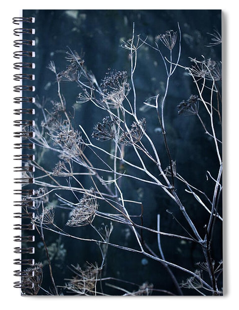  Spiral Notebook featuring the photograph Seedheads and Tarpaulin by Anita Nicholson