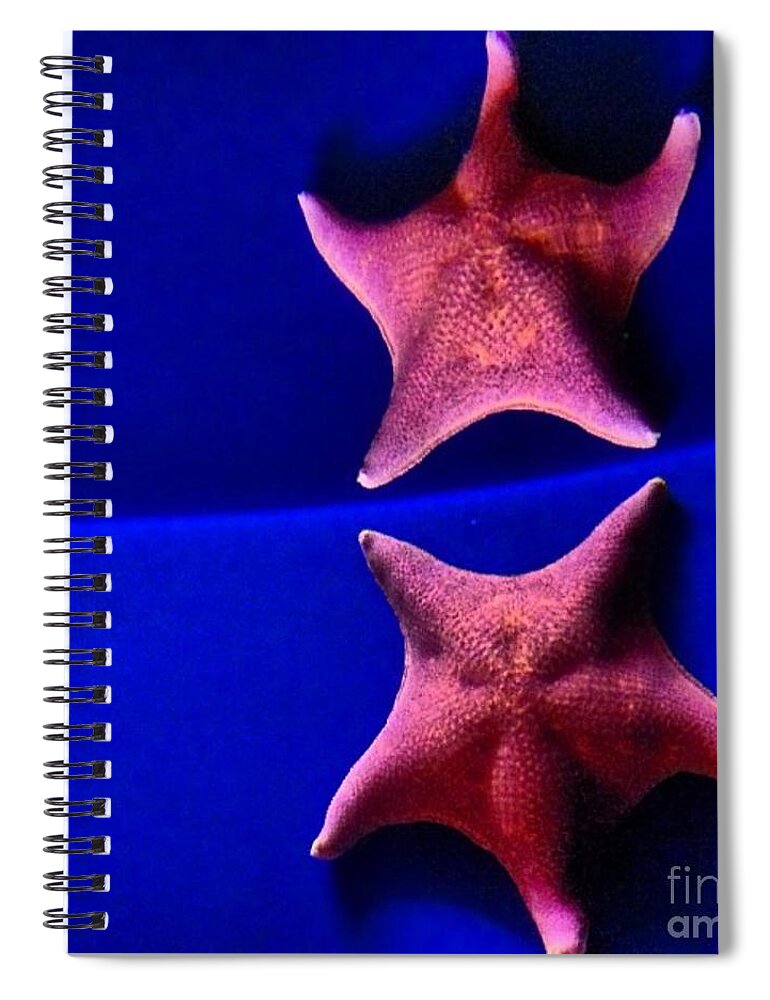 Star Fish Spiral Notebook featuring the photograph Seeing Double by Denise Railey