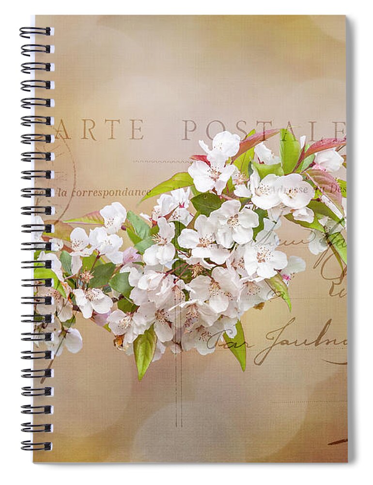 Apple Spiral Notebook featuring the photograph Sending Spring by Cathy Kovarik
