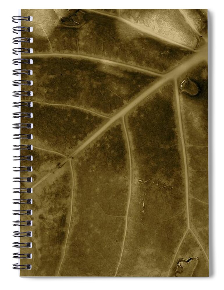 Leaf Spiral Notebook featuring the photograph Sepia Foliage by Mafalda Cento
