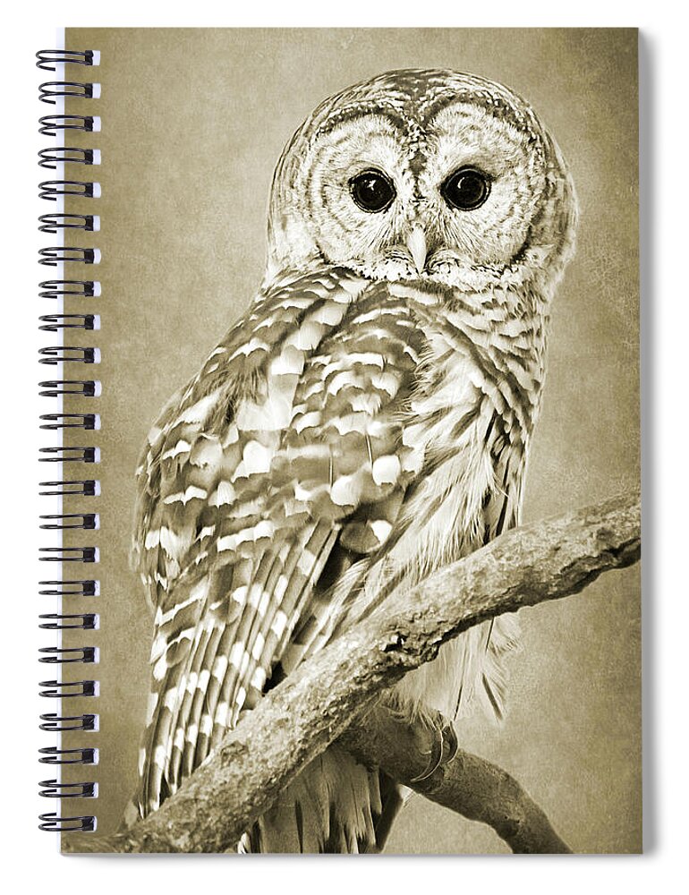 Owl Spiral Notebook featuring the photograph Sepia Owl by Christina Rollo