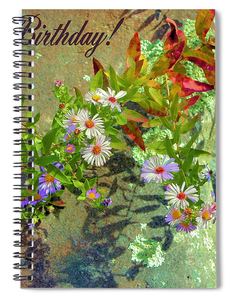 Happy Birthday Spiral Notebook featuring the photograph September Birthday Aster by Kristin Elmquist