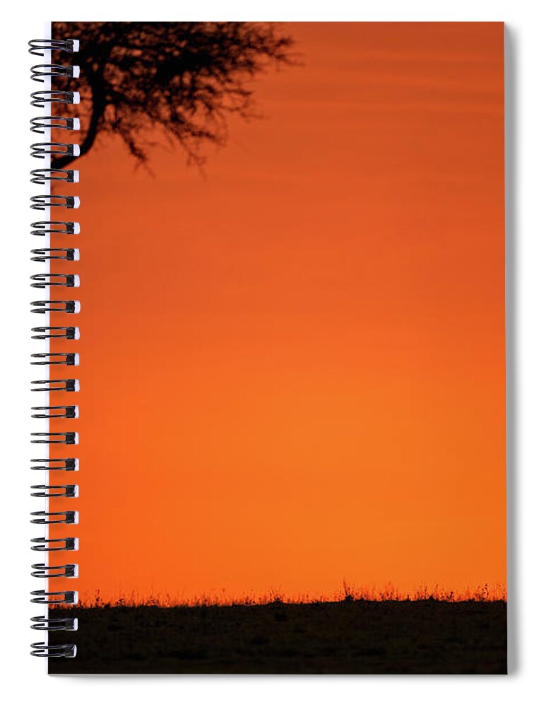 Sunset Spiral Notebook featuring the photograph Serengeti Sunset by Steven Upton