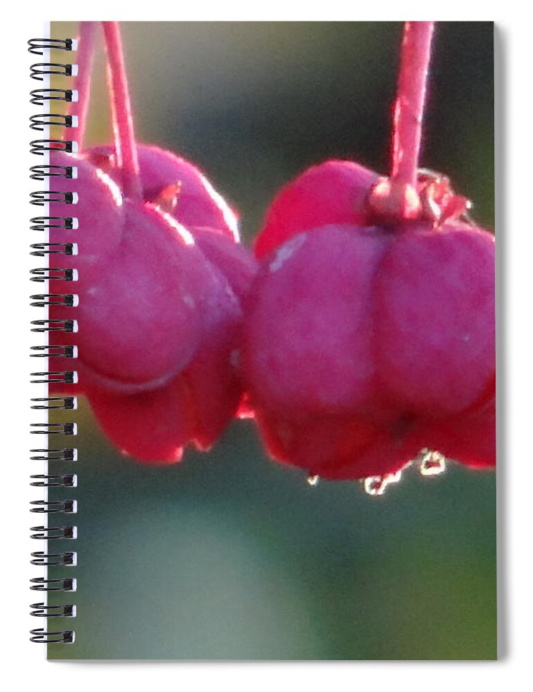 Serenity Spiral Notebook featuring the photograph Serenity by Karin Ravasio