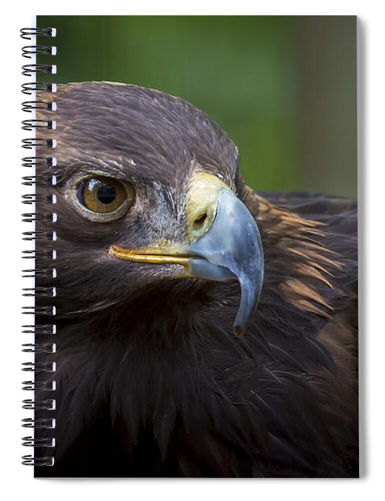 Bird Spiral Notebook featuring the photograph Serious by Andrea Silies