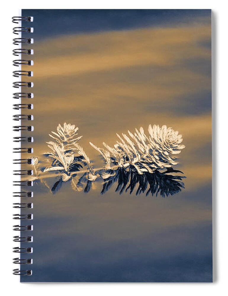 Water Spiral Notebook featuring the photograph Set Apart by Carolyn Marshall