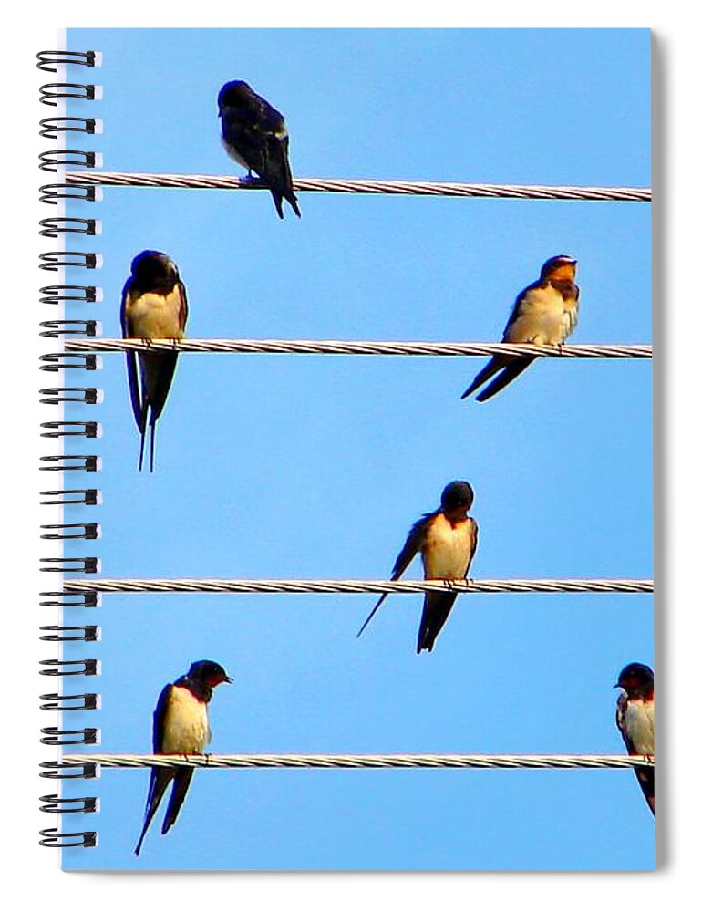 Swallow Spiral Notebook featuring the photograph Seven Swallows by Ana Maria Edulescu