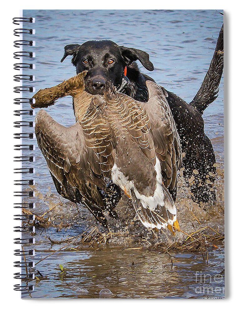 Nature Spiral Notebook featuring the photograph Shade and a spec by Barry Bohn