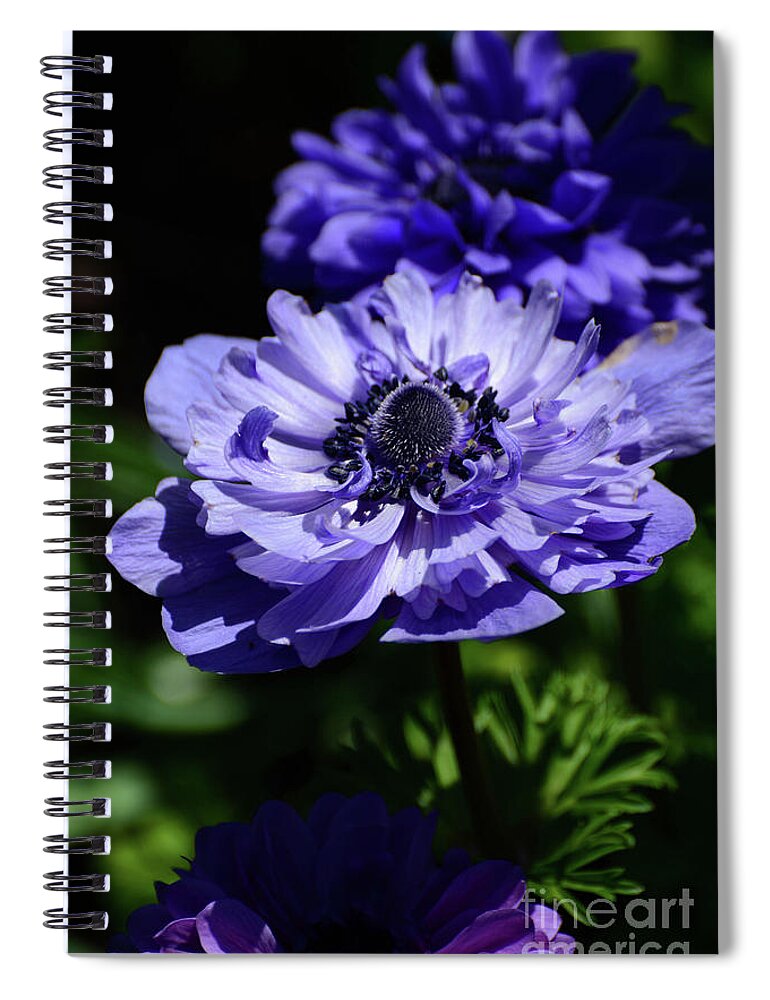 Flowers Spiral Notebook featuring the photograph Shades of Purple by Cindy Manero