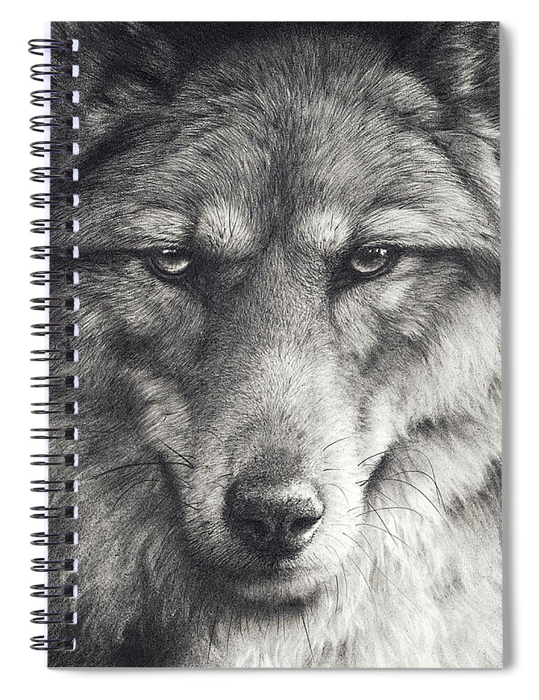 Wolf Spiral Notebook featuring the drawing Shadow Falling by Peter Williams