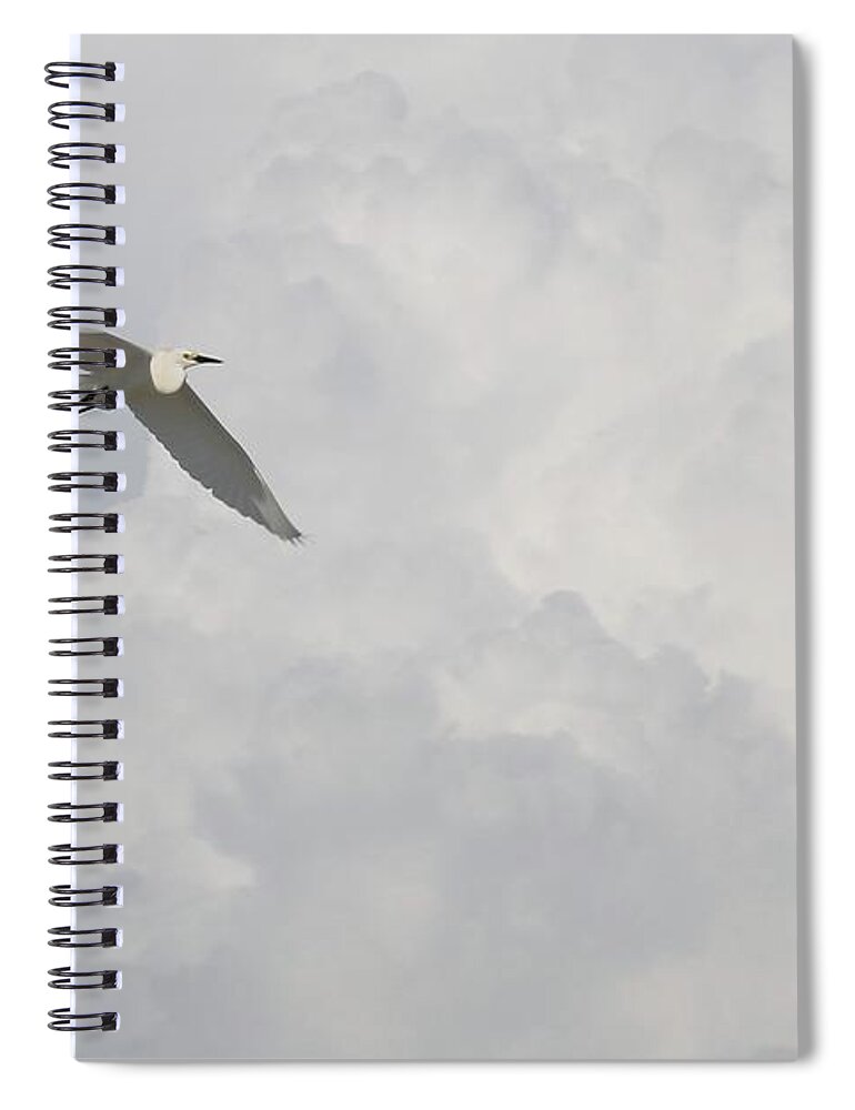 Photo For Sale Spiral Notebook featuring the photograph Shadow Wing by Robert Wilder Jr