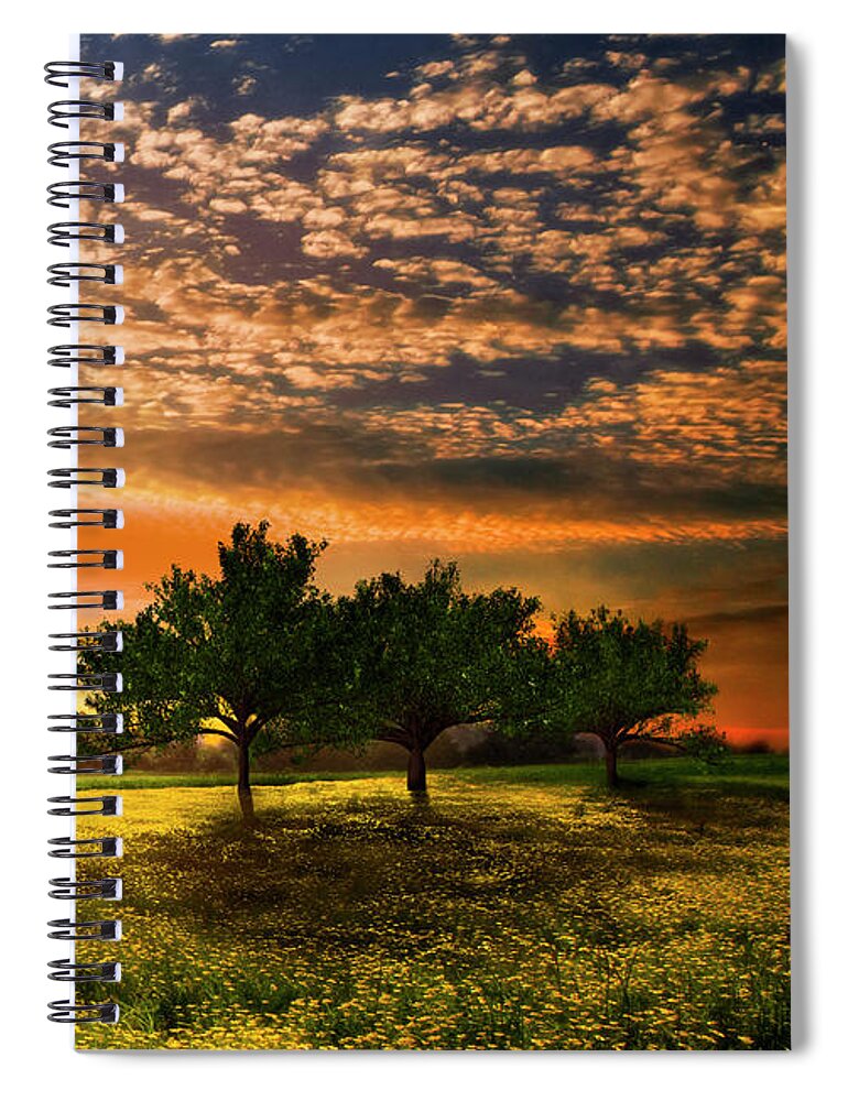 Barn Spiral Notebook featuring the photograph Shadows in the Meadow Right of the Triple by Debra and Dave Vanderlaan
