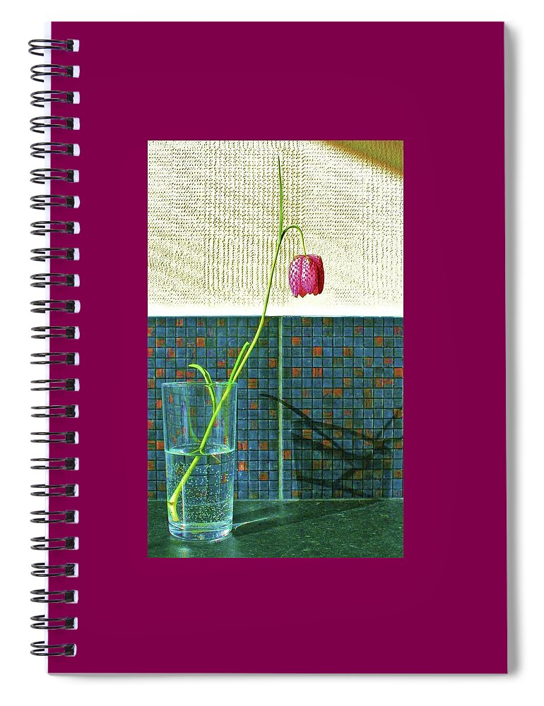 Fritillary Spiral Notebook featuring the photograph Shapes by Nigel Radcliffe