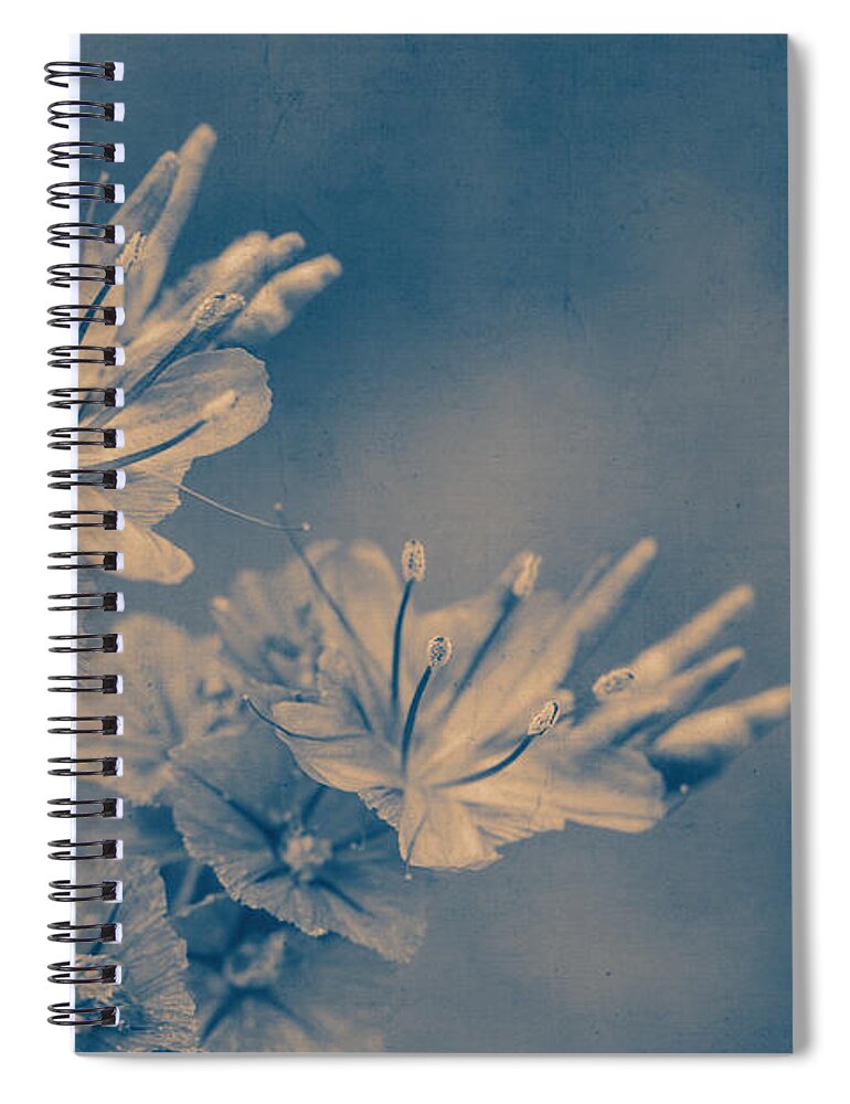 Flower Spiral Notebook featuring the photograph She Wanted My Soul by Linda Lees