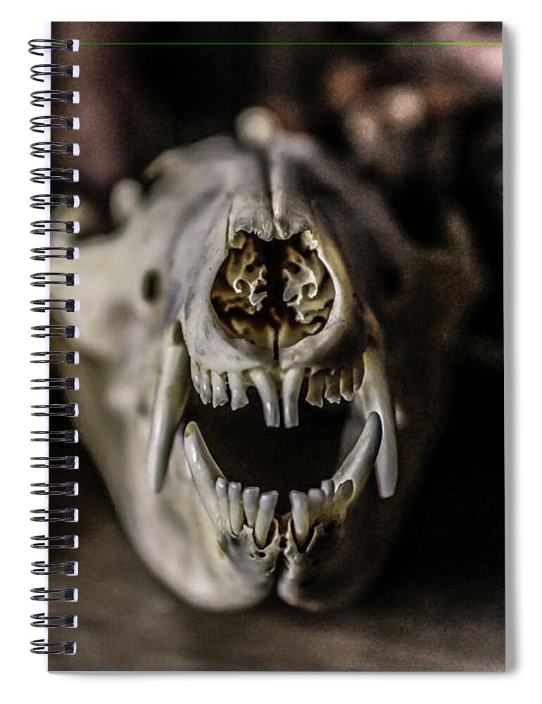 Wasp Spiral Notebook featuring the photograph Shelf of the Dead 6 by Amanda Armstrong