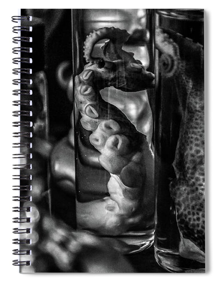 Wasp Spiral Notebook featuring the photograph Shelf of the Dead 8 by Amanda Armstrong