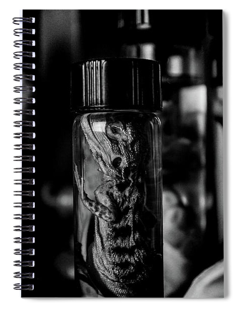 Curio Cabinet Spiral Notebook featuring the photograph Shelf of the Dead 9 by Amanda Armstrong