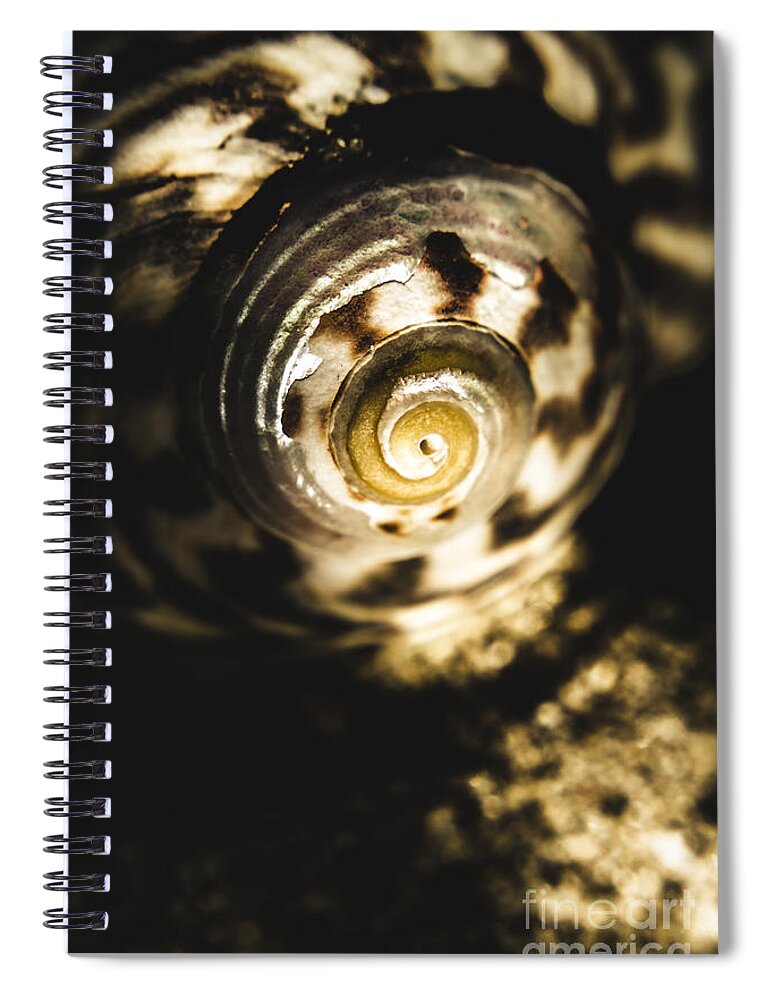 Shells Spiral Notebook featuring the photograph Shells in detail by Jorgo Photography
