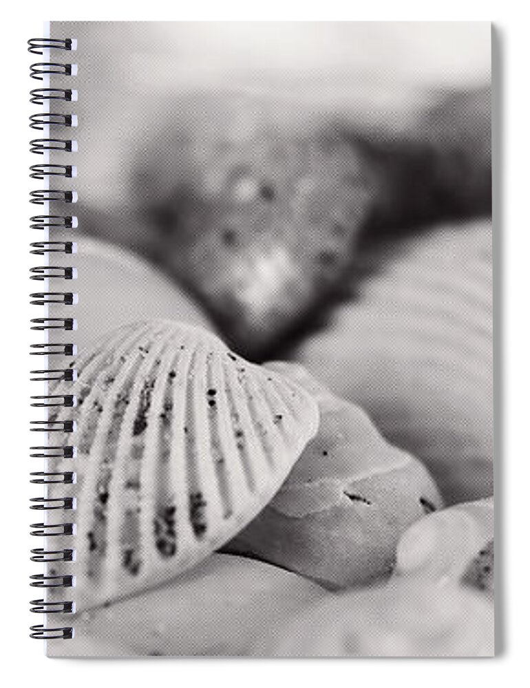 Monochrome Spiral Notebook featuring the photograph Shells XV by Cassandra Buckley