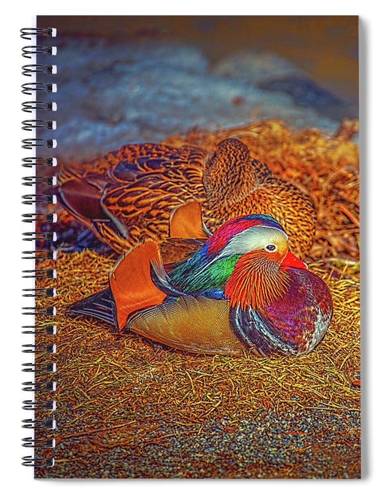 Sheltered Spiral Notebook featuring the photograph Sheltered #h4 by Leif Sohlman