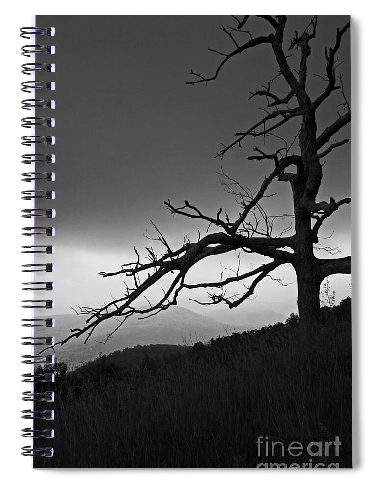 Tree Spiral Notebook featuring the photograph Shenandoah by Julie Lueders 