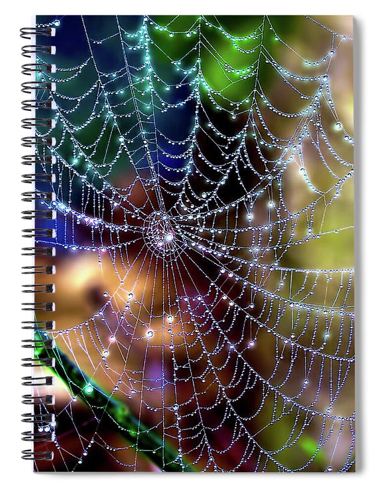 Spider Web Spiral Notebook featuring the photograph Shimmering Silk by Mark Andrew Thomas