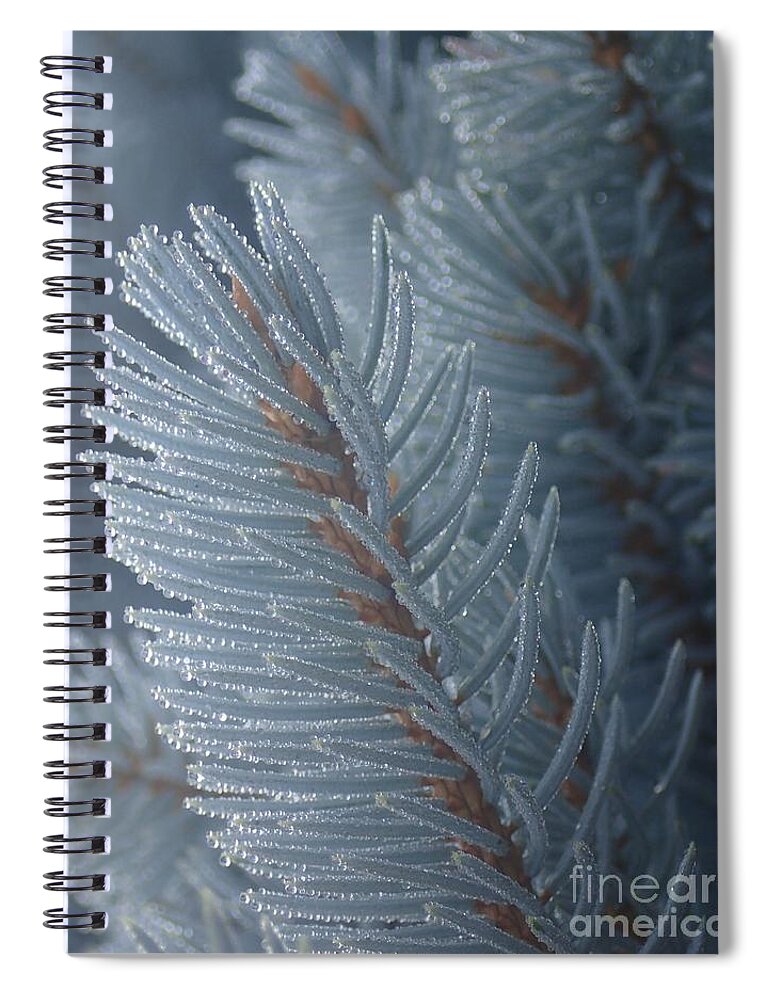 Color Spiral Notebook featuring the photograph Shine On by Christina Verdgeline