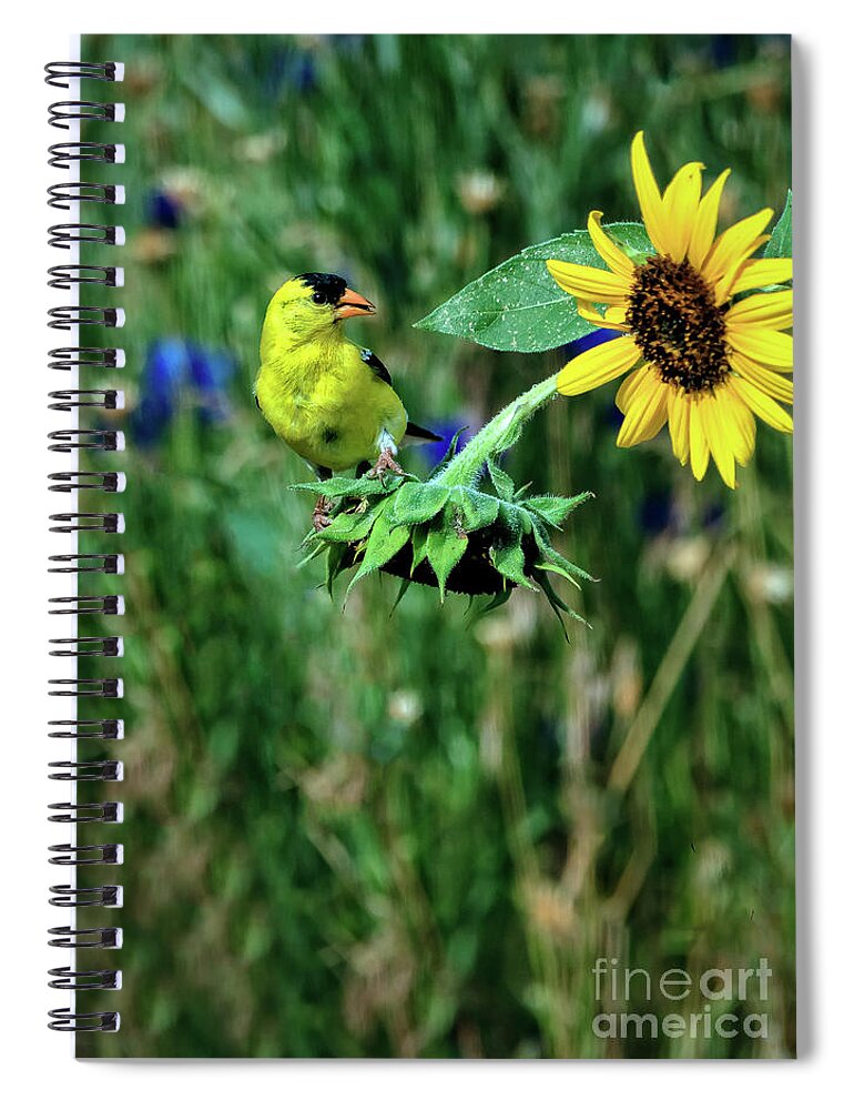 Male Spiral Notebook featuring the photograph Should I by Robert Bales