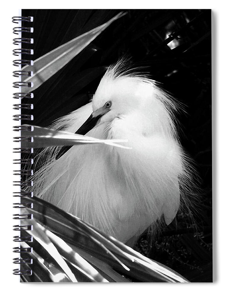 Nature Spiral Notebook featuring the photograph Shy Snowy Egret by Peggy Urban