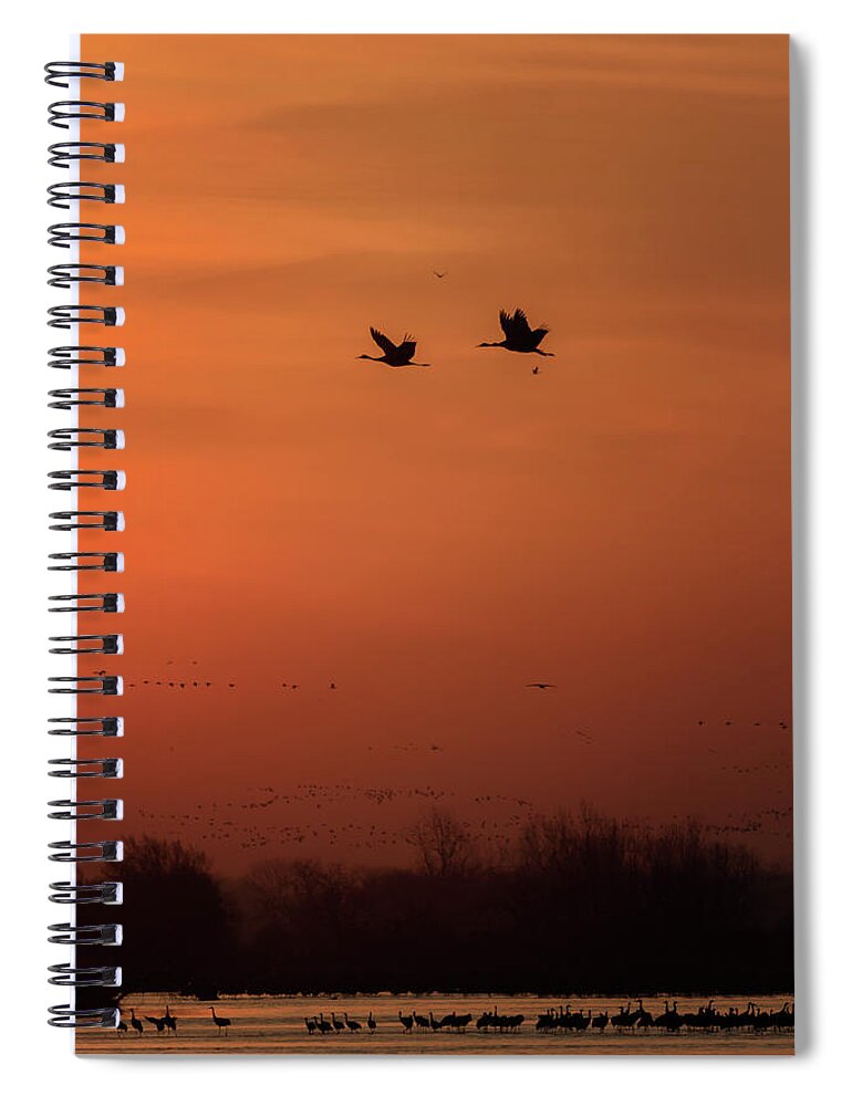 Sandhill Cranes Spiral Notebook featuring the photograph Sienna Skies #3 by Susan Rissi Tregoning
