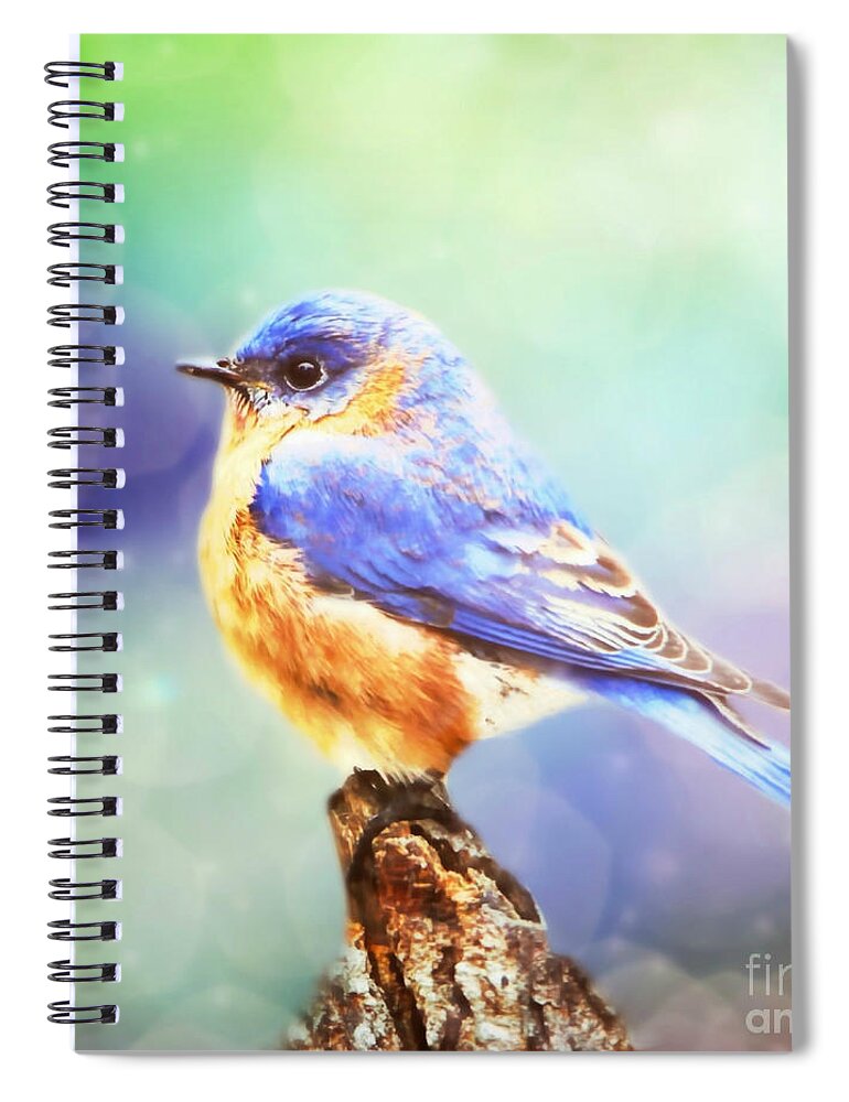 Bluebird Spiral Notebook featuring the mixed media Silent Reverie by Tina LeCour