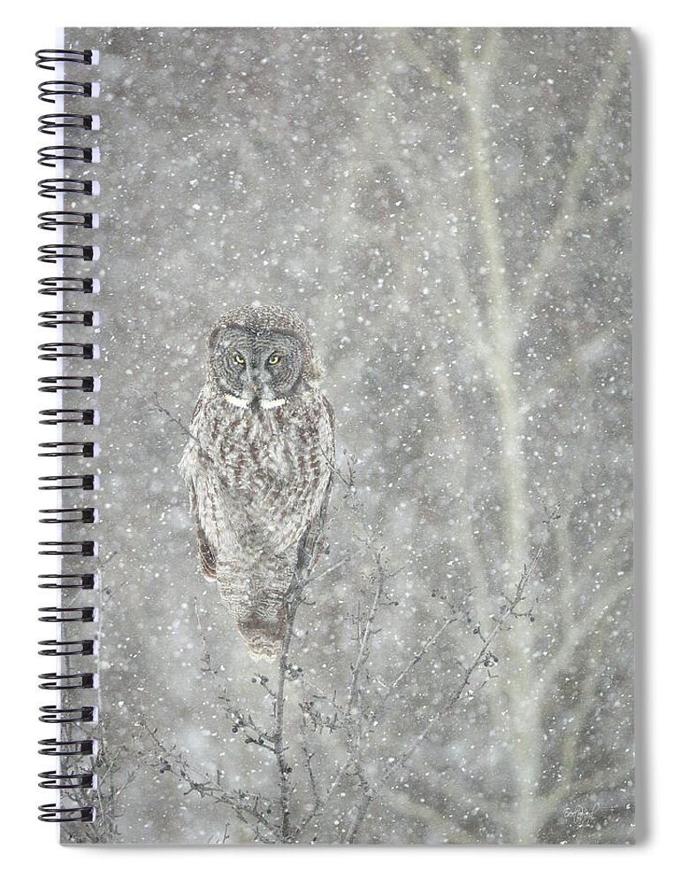 Owl Spiral Notebook featuring the photograph Silent Snowfall Portrait II by Everet Regal